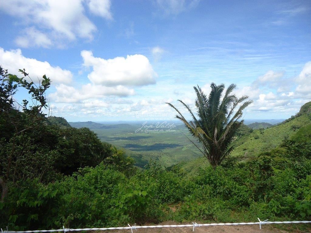 Sítio, 2 quartos, 20 hectares - Foto 23