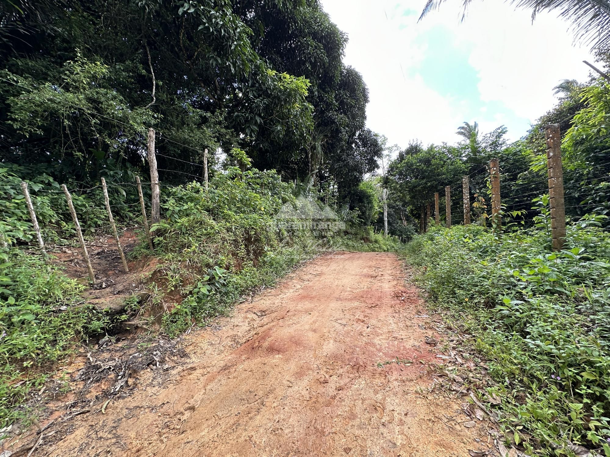 Sítio, 2 quartos, 20 hectares - Foto 24