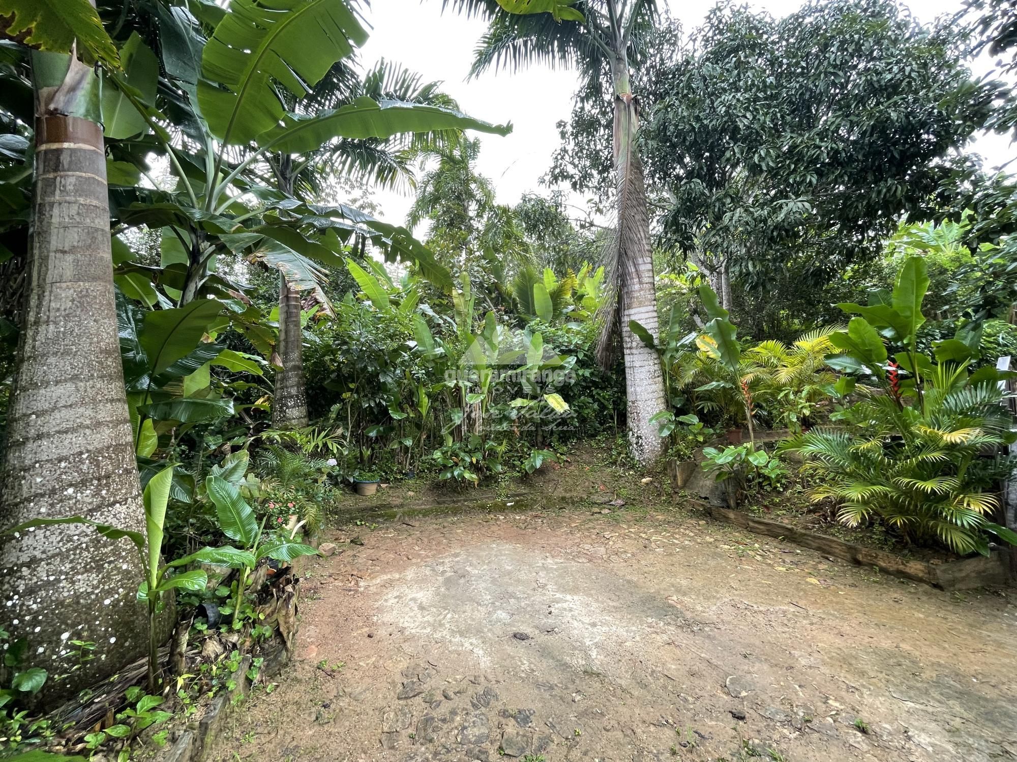 Apartamento, 2 quartos - Foto 22