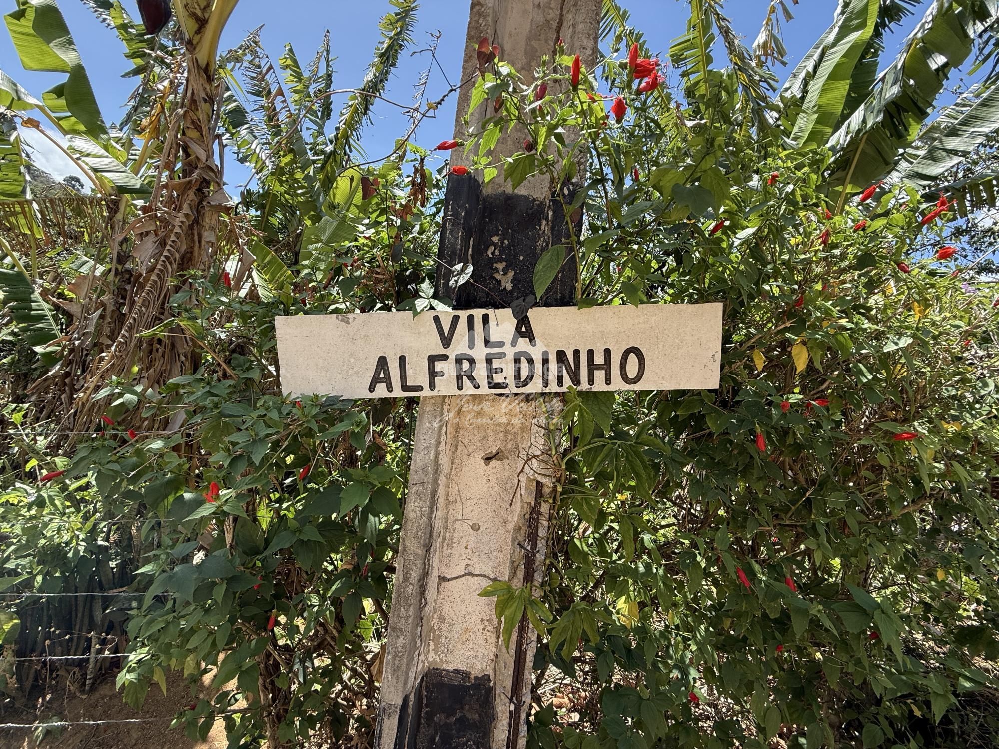 Sítio, 4 quartos, 180 m² - Foto 65