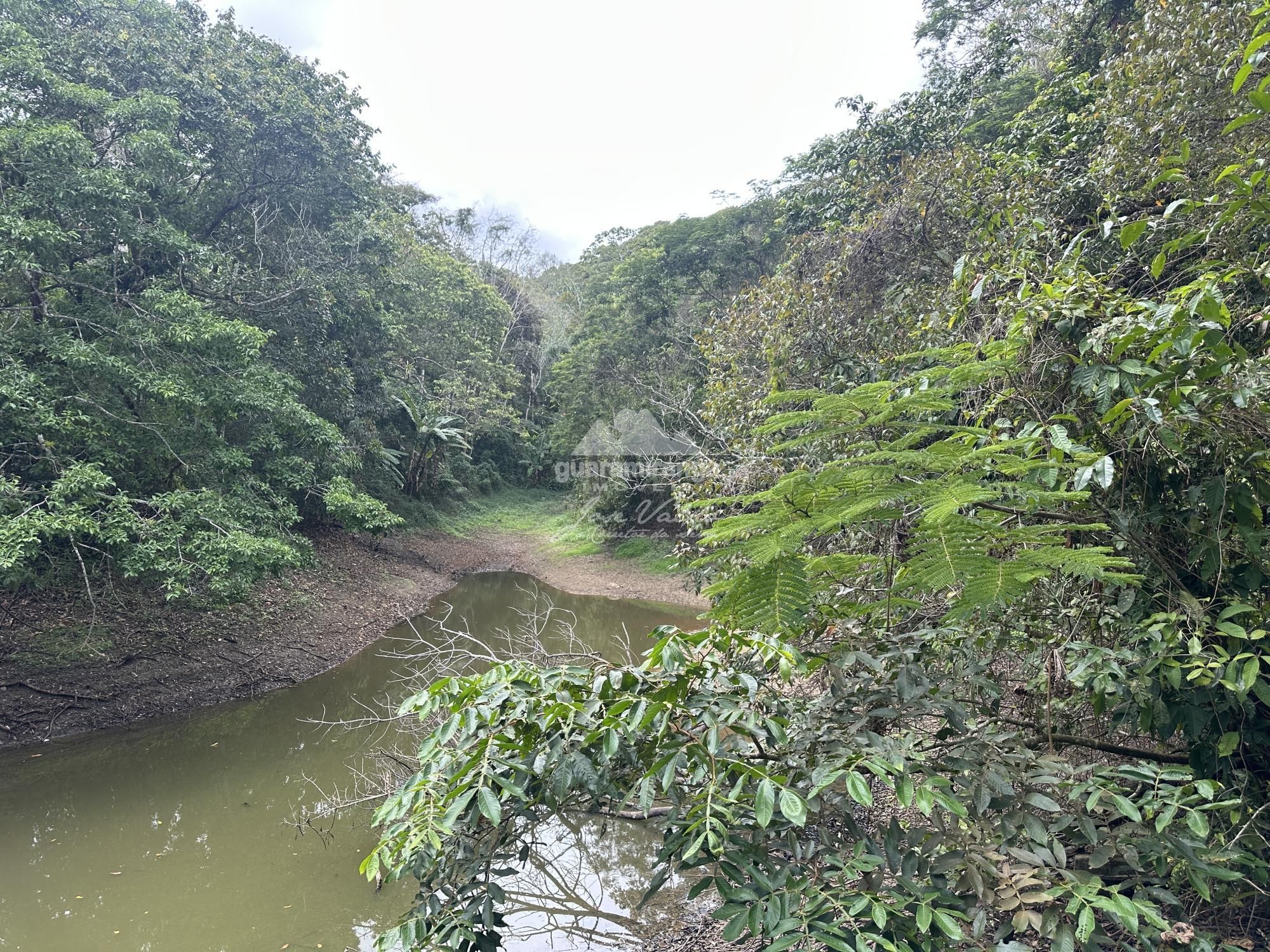 Fazenda/sítio/chácara/haras à venda  no Santa Ana - Pacoti, CE. Imóveis