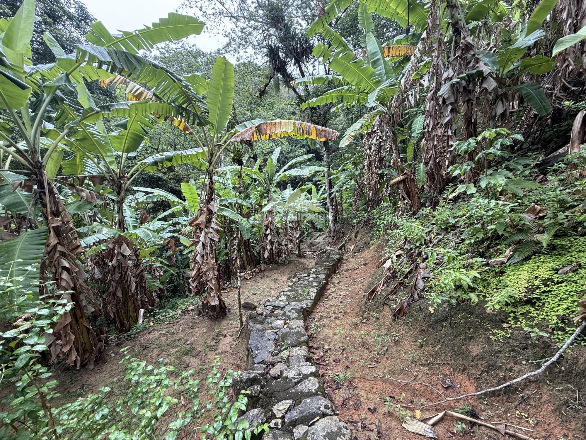 Fazenda/sítio/chácara/haras com 5 Dormitórios à venda, 322 m² por R$ 1.700.000,00 Fazenda/sítio/chácara/haras com 5 Dormitórios à venda, 322 m² por R$ 1.700.000,00