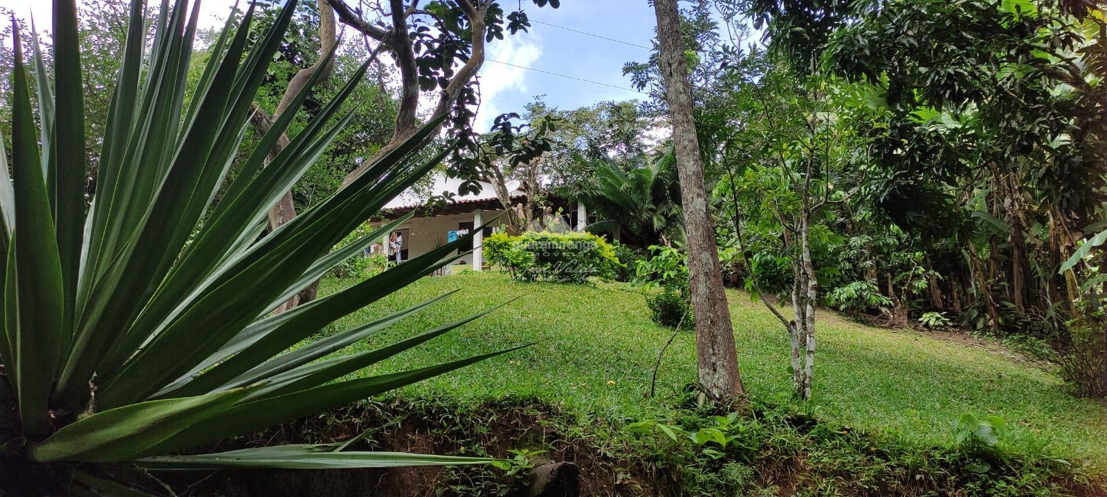 Sítio, 12 quartos, 60 hectares - Foto 17