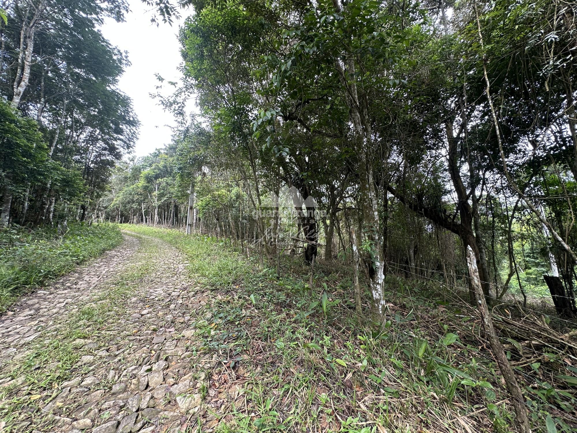 Terreno, 7595 m² - Foto 26