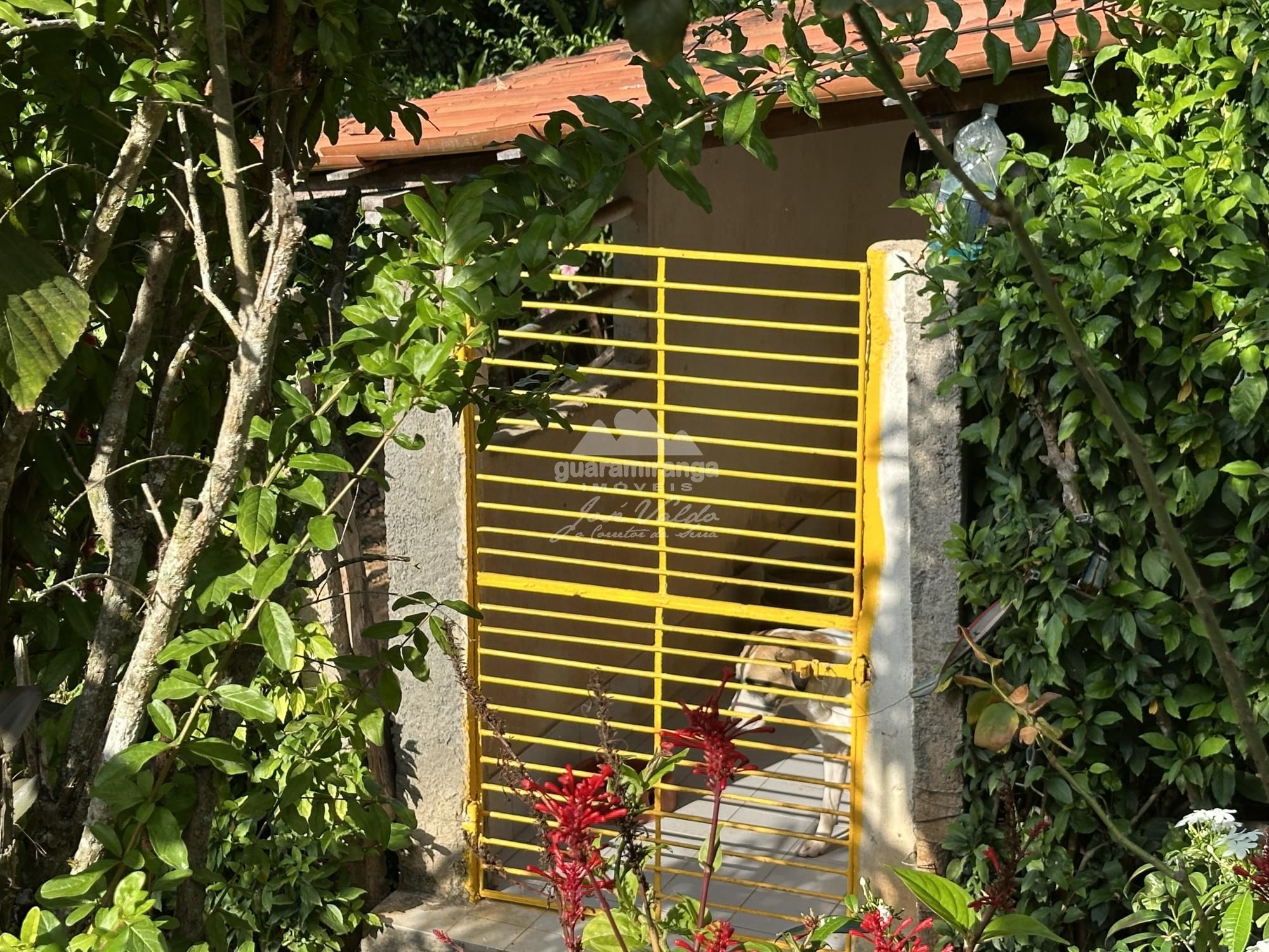 Sítio à venda com 4 quartos, 30557m² - Foto 27