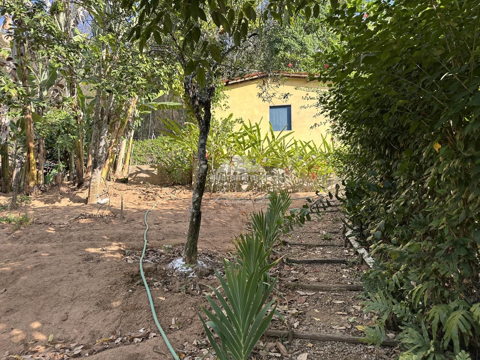 Sítio à venda com 4 quartos, 30557m² - Foto 55