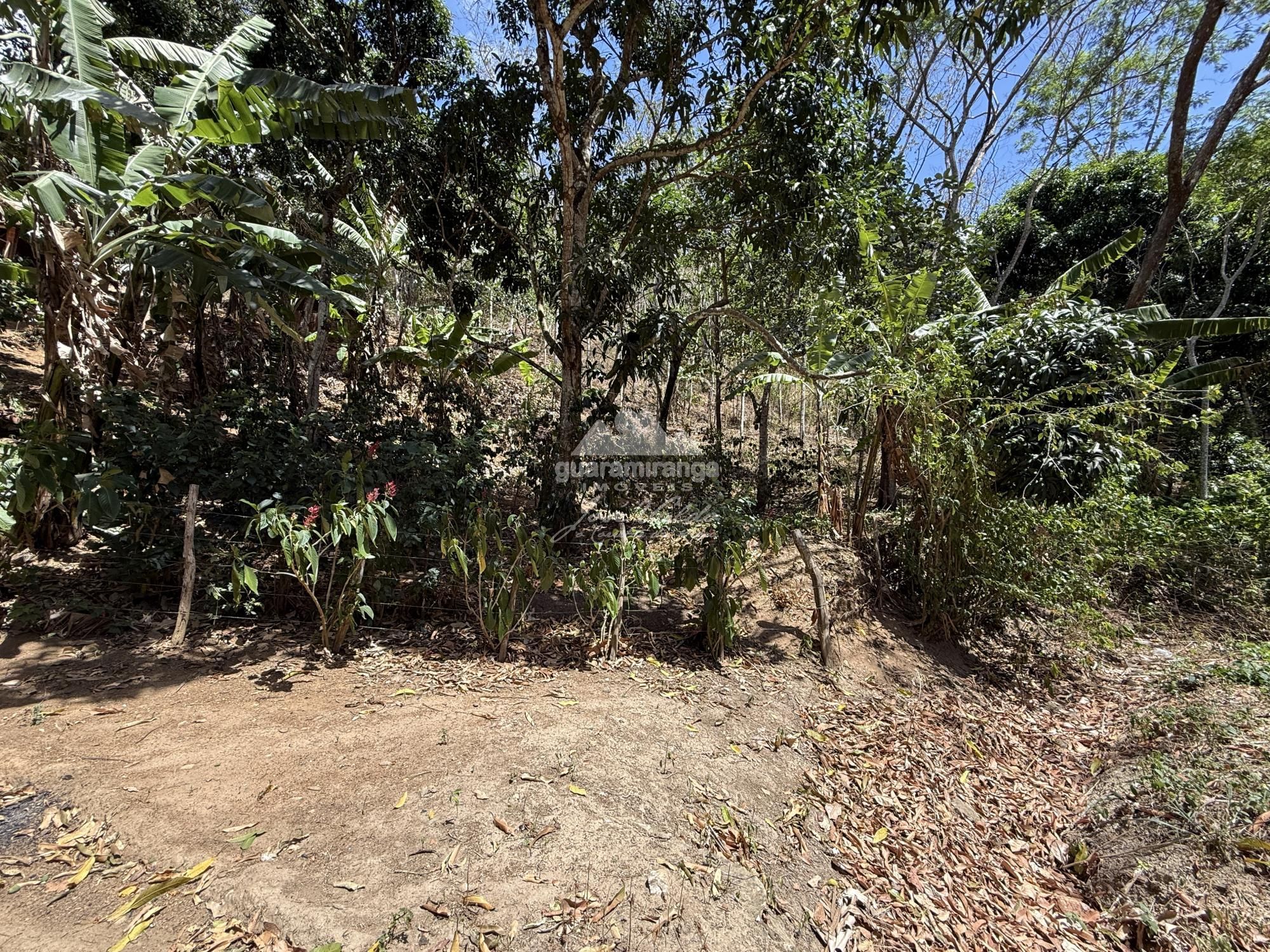 Sítio, 4 quartos, 180 m² - Foto 59