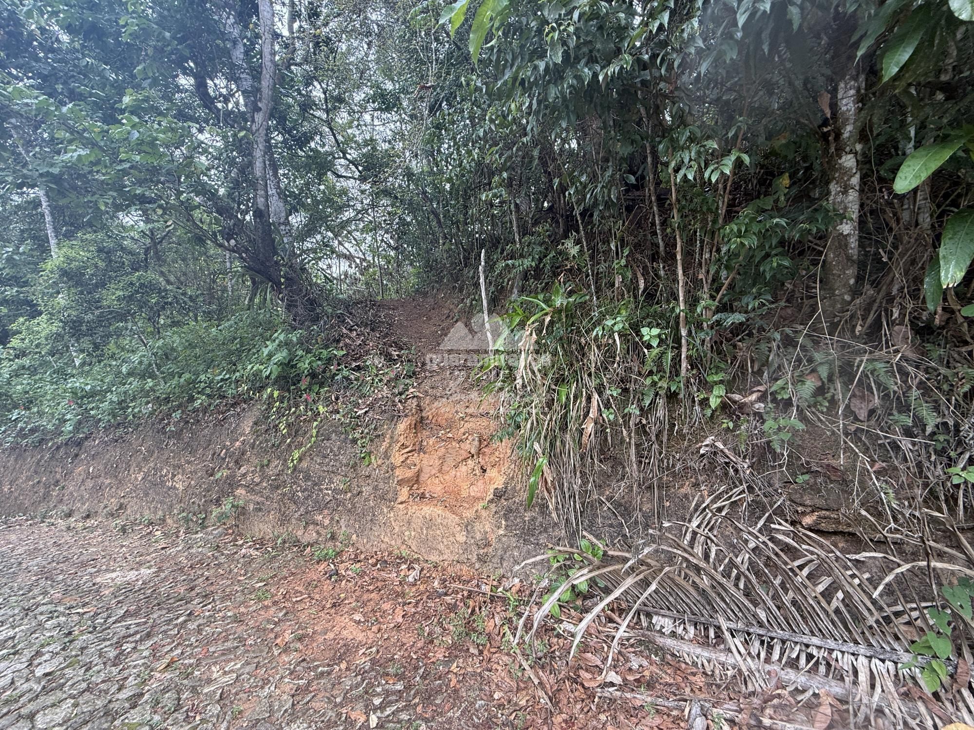 Sítio, 2 quartos, 26 hectares - Foto 4