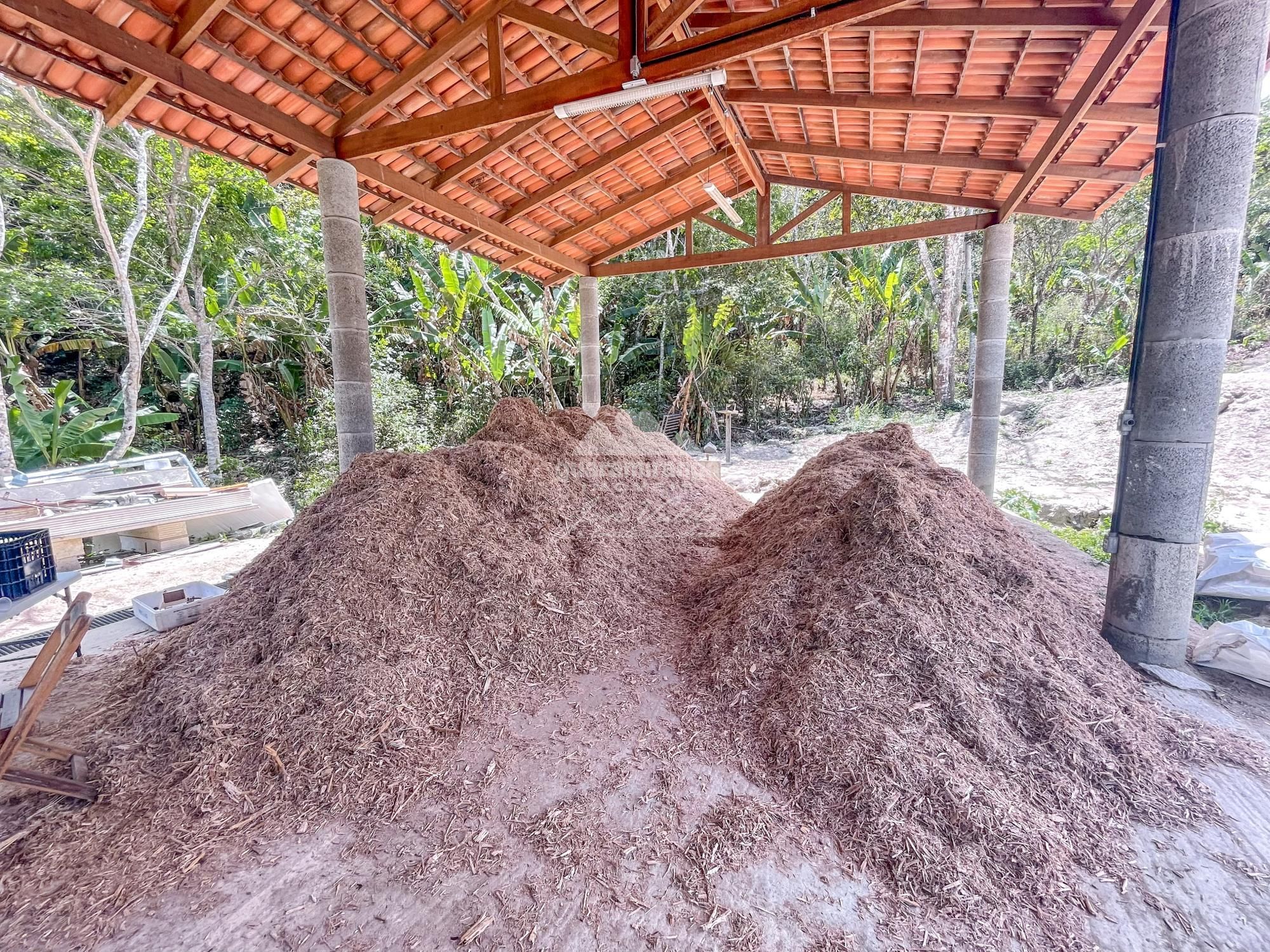 Sítio à venda com 1 quarto, 35000m² - Foto 35