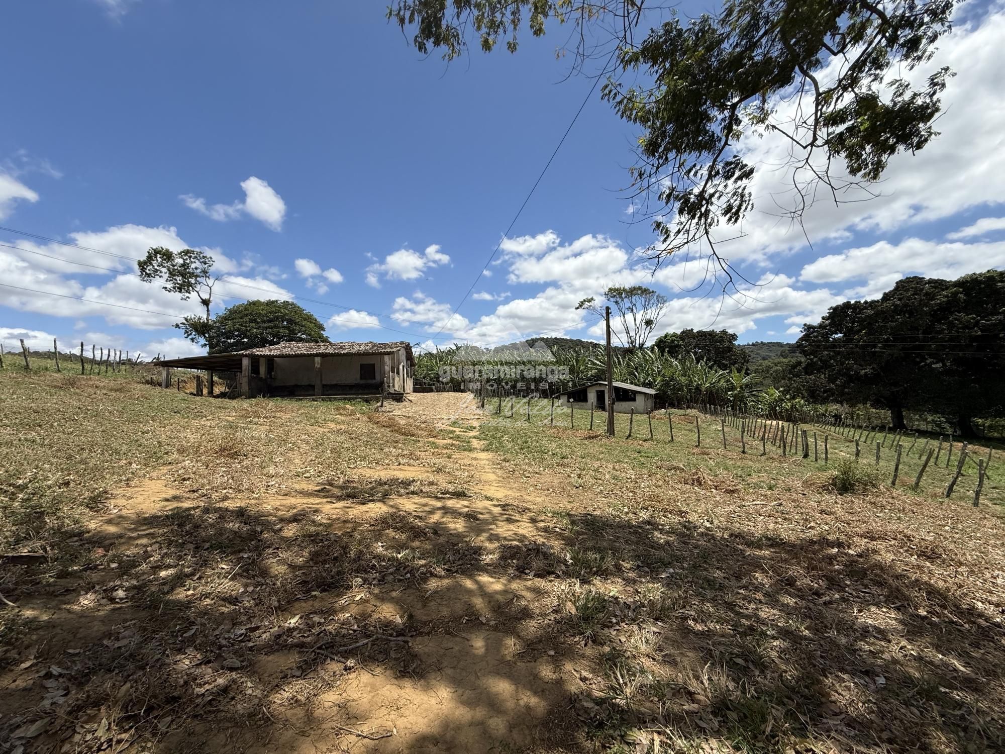 Sítio à venda com 1 quarto, 70000m² - Foto 19