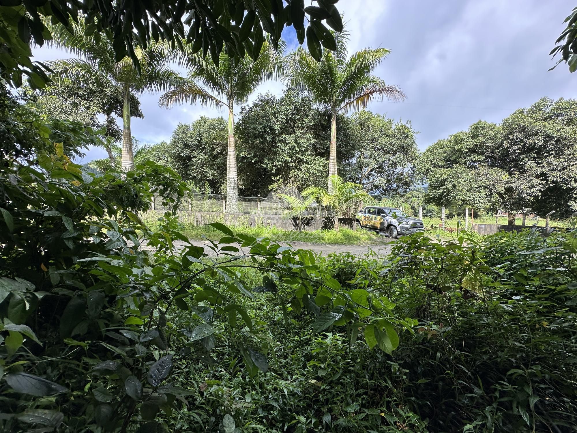 Terreno, 4 hectares - Foto 12