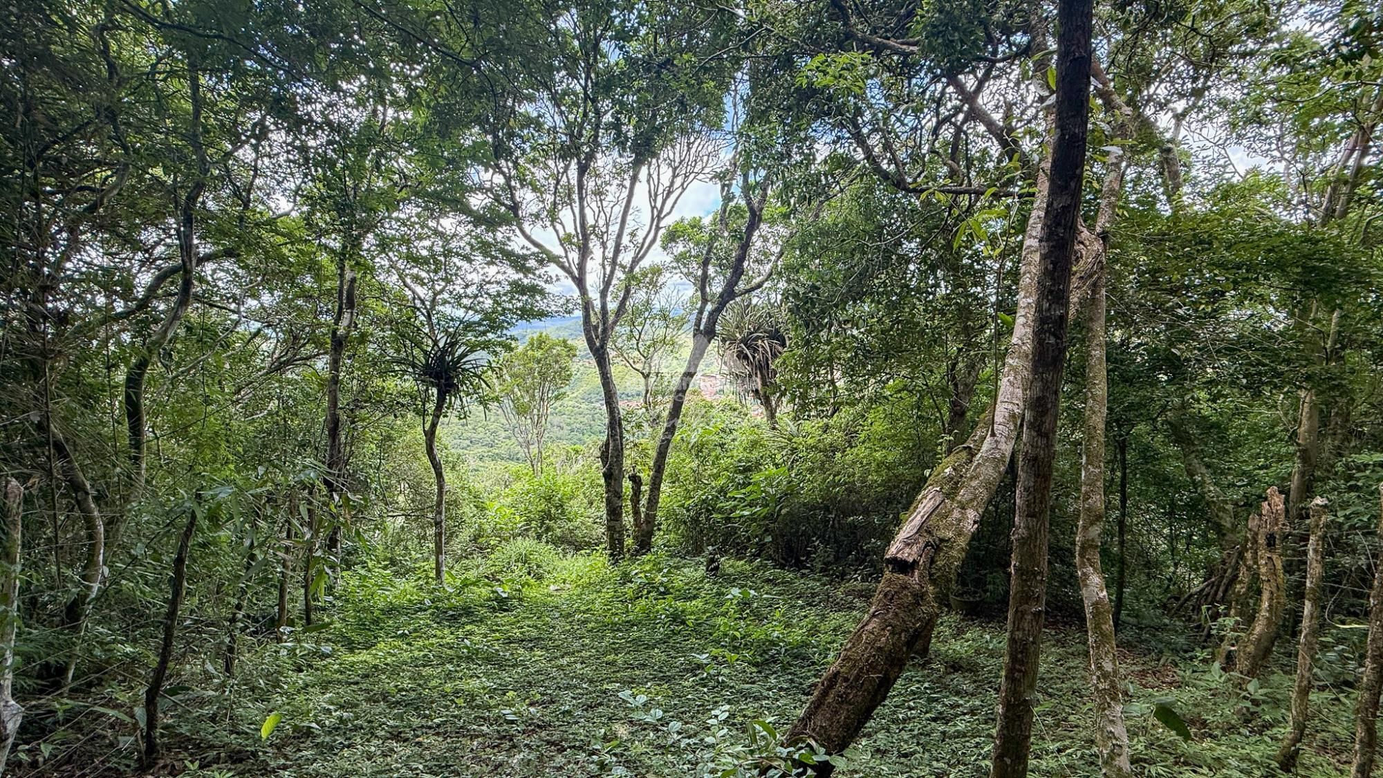 Chácara, 3 quartos, 17 m² - Foto 52