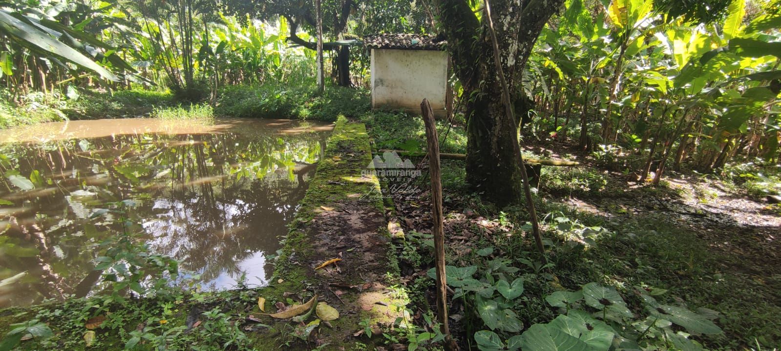 Sítio, 12 quartos, 60 hectares - Foto 20