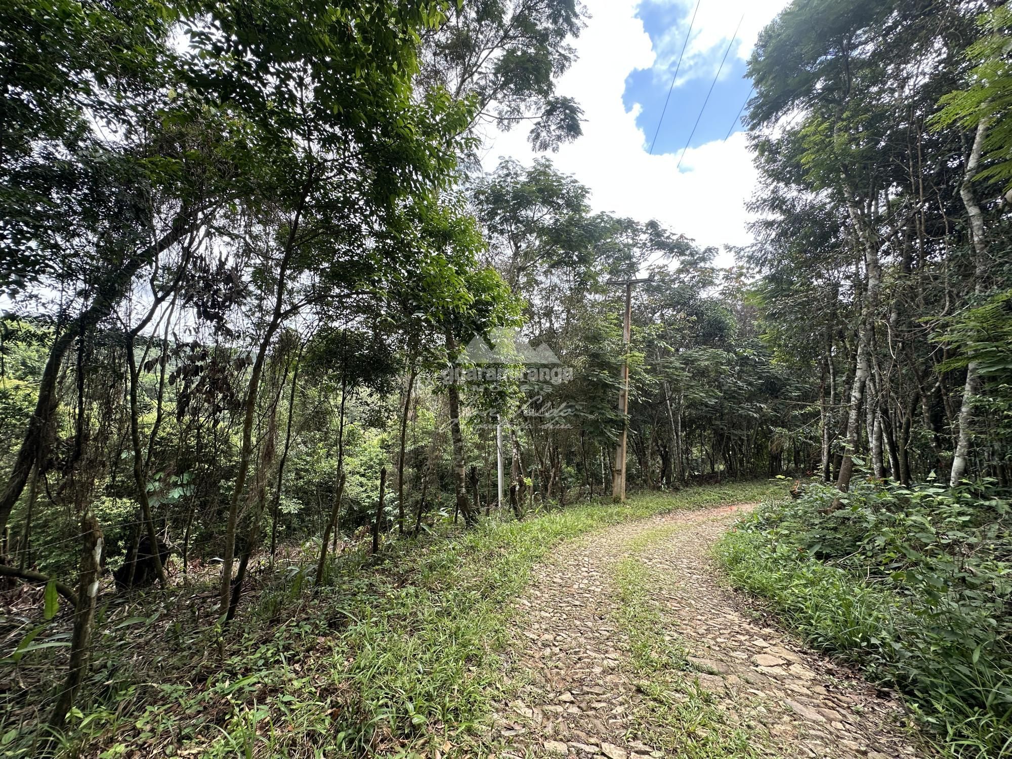 Terreno, 7595 m² - Foto 24