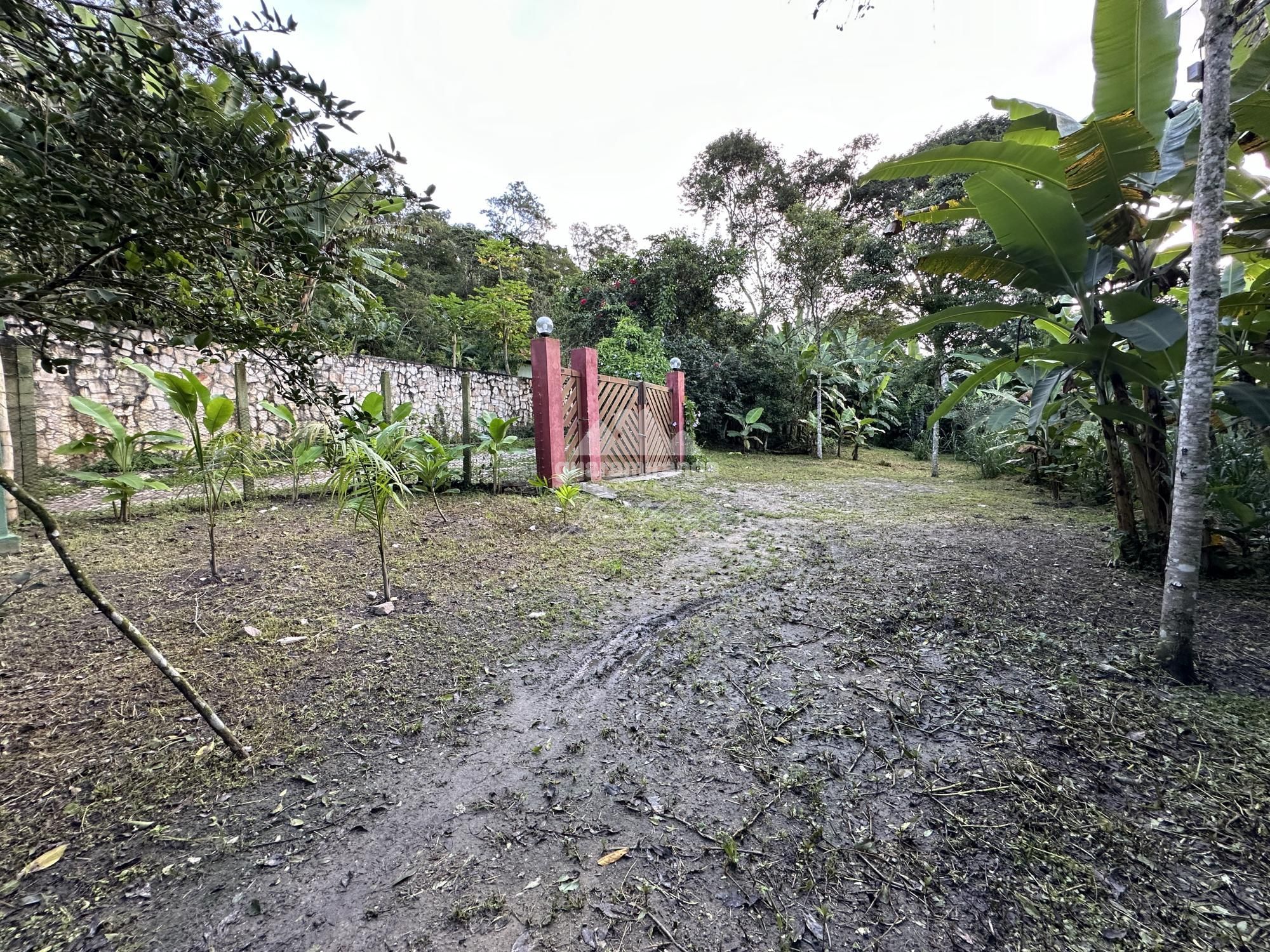 Sítio à venda com 6 quartos, 30000m² - Foto 116