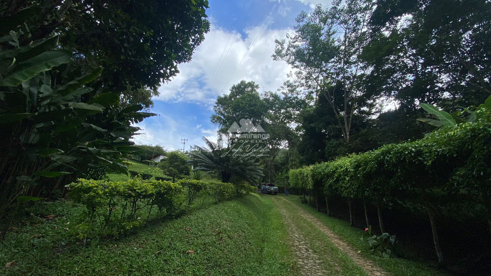 Sítio, 12 quartos, 60 hectares - Foto 27