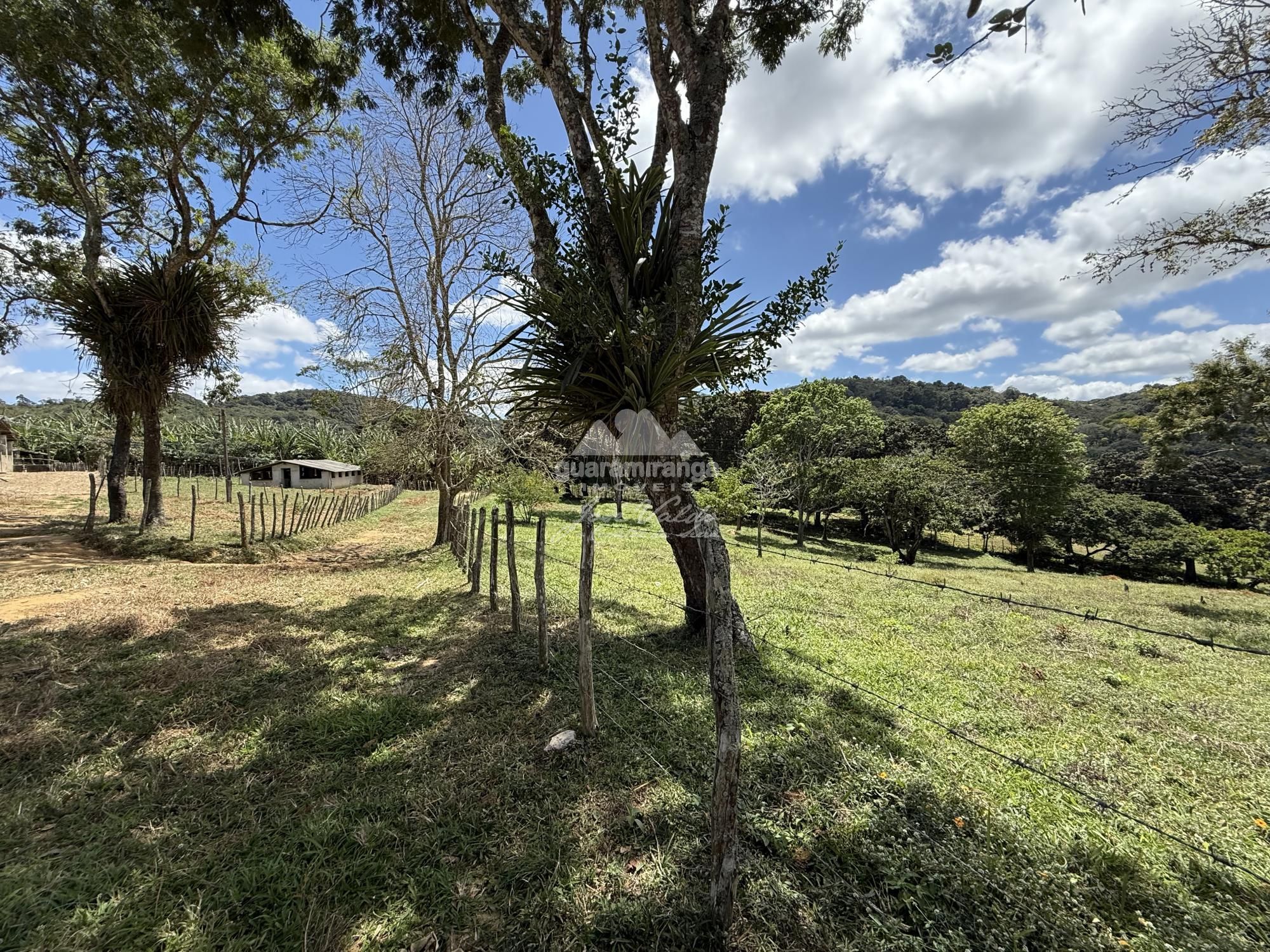 Sítio à venda com 1 quarto, 70000m² - Foto 16