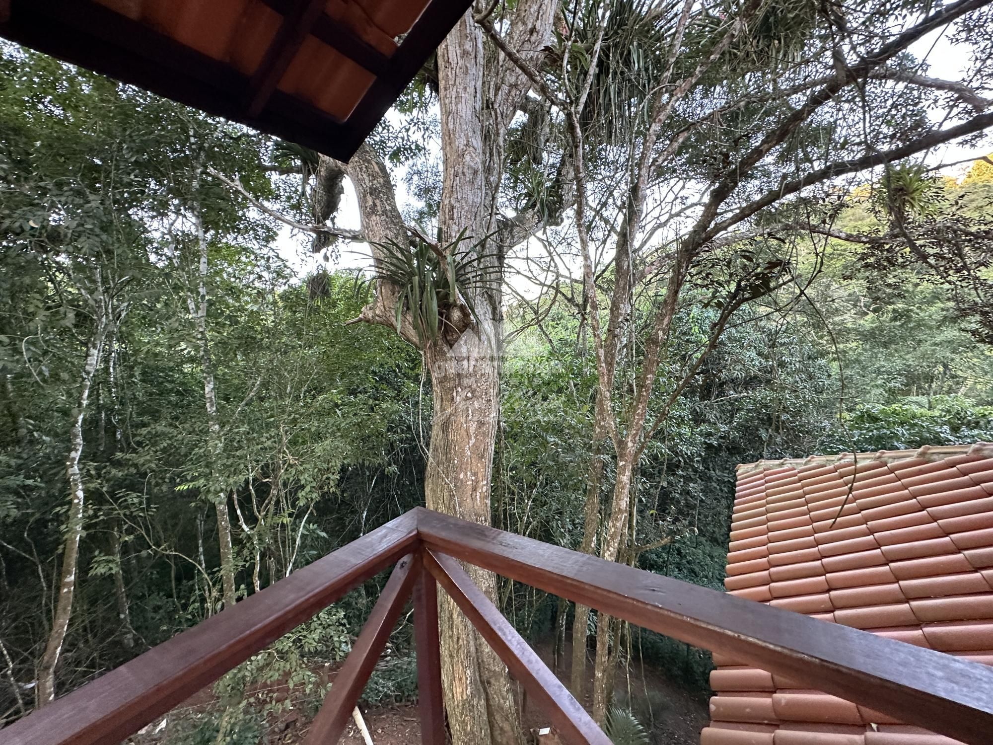 Chácara à venda com 3 quartos, 400m² - Foto 40