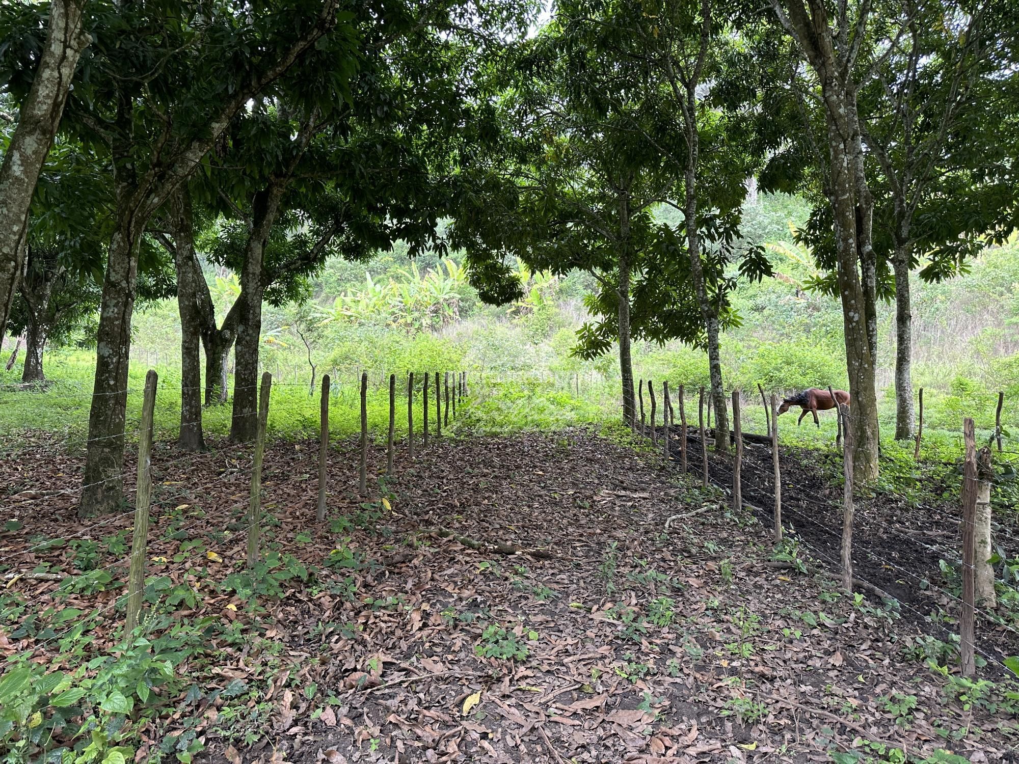 Terreno à venda, 2204m² - Foto 12