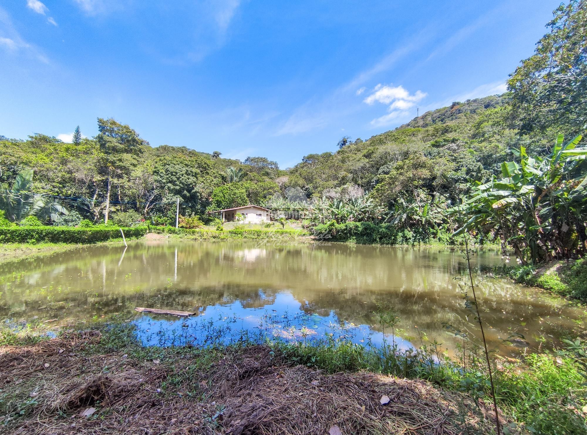 Sítio, 4 quartos, 13 hectares - Foto 20