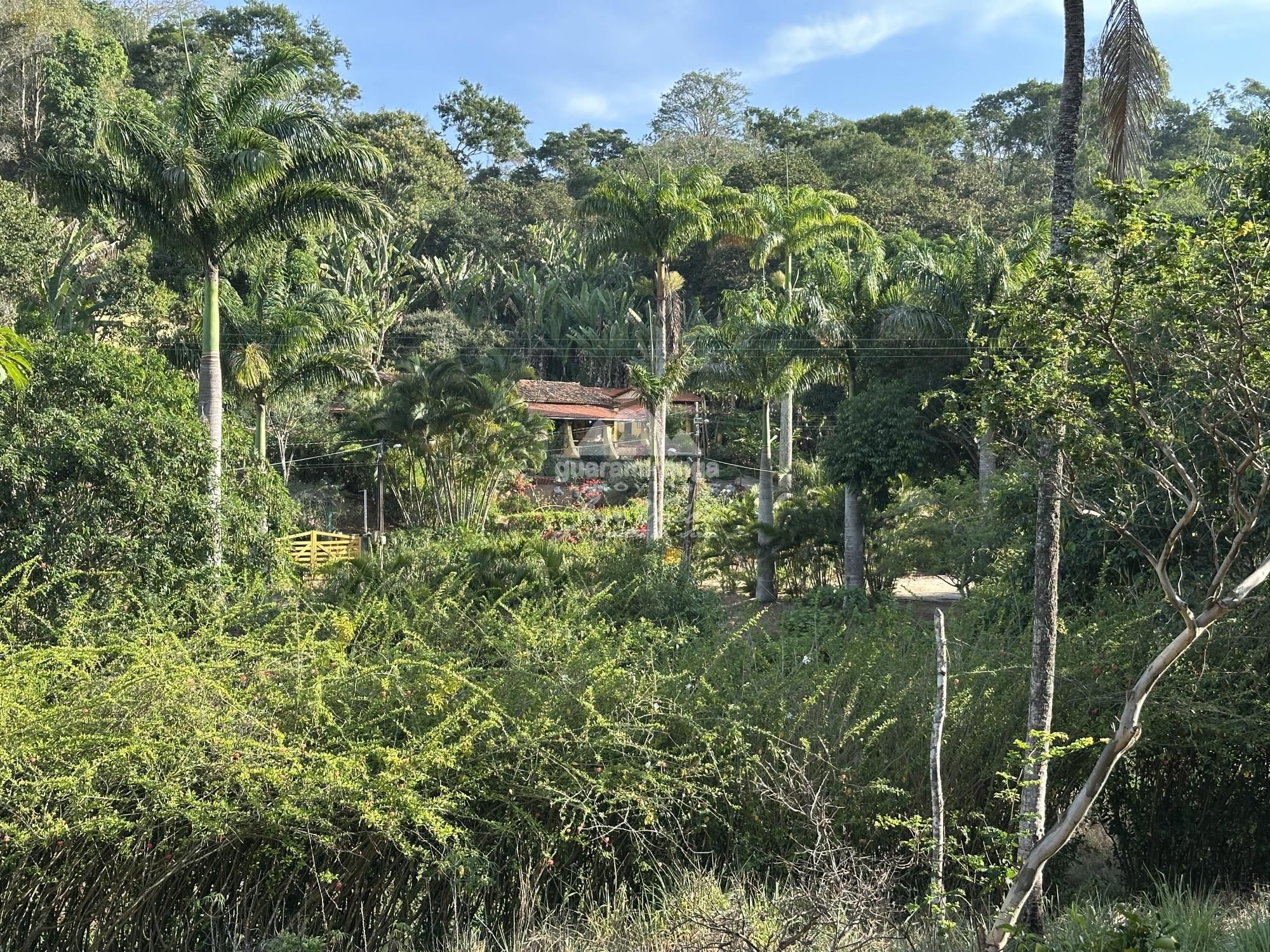 Sítio à venda com 4 quartos, 30557m² - Foto 62
