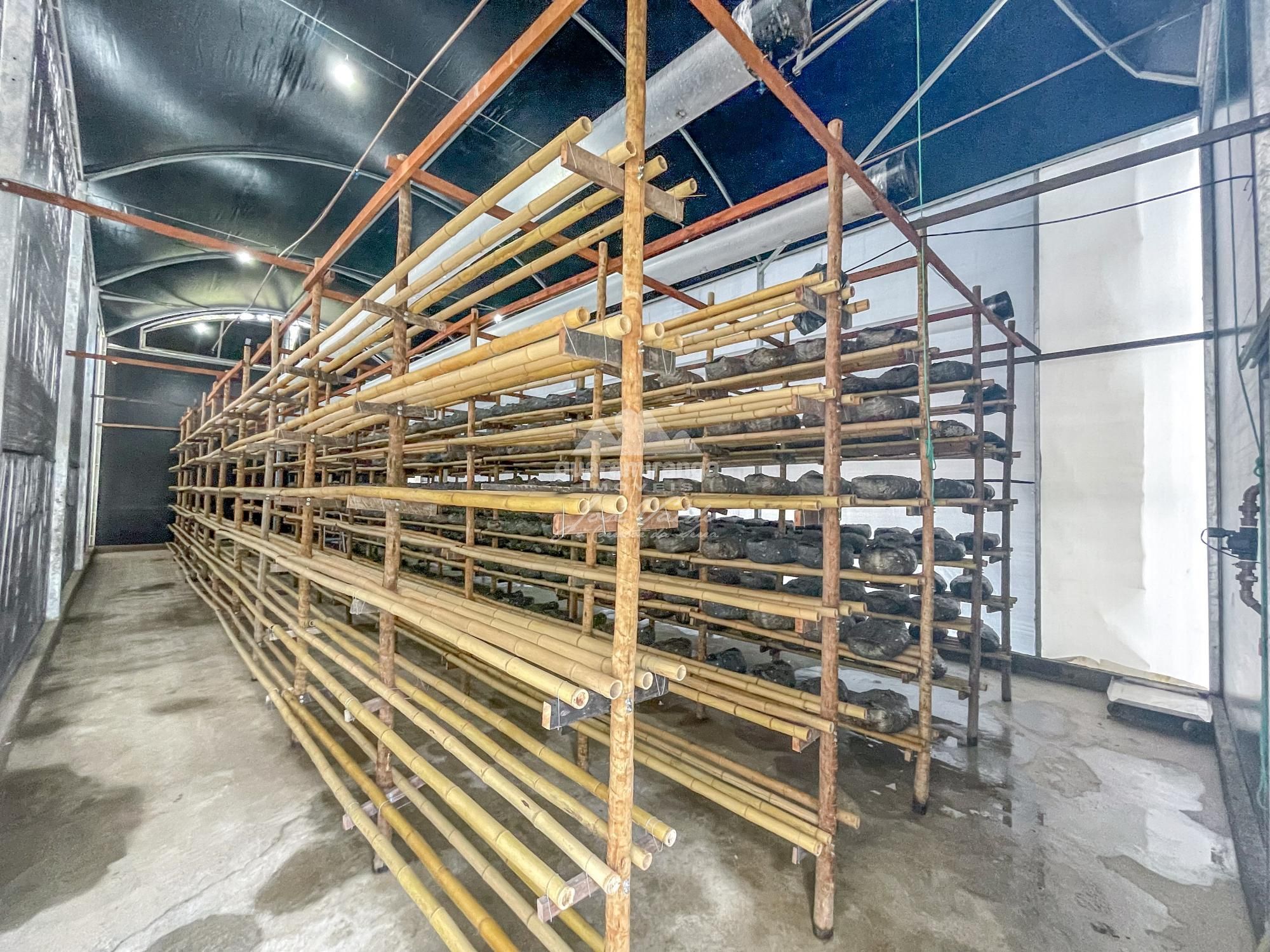 Sítio à venda com 1 quarto, 35000m² - Foto 42