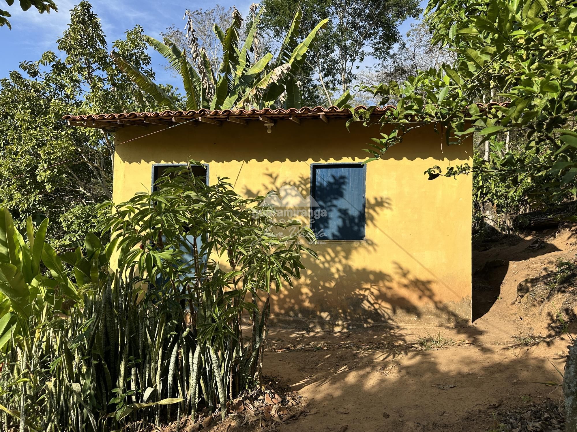 Sítio à venda com 4 quartos, 30557m² - Foto 57