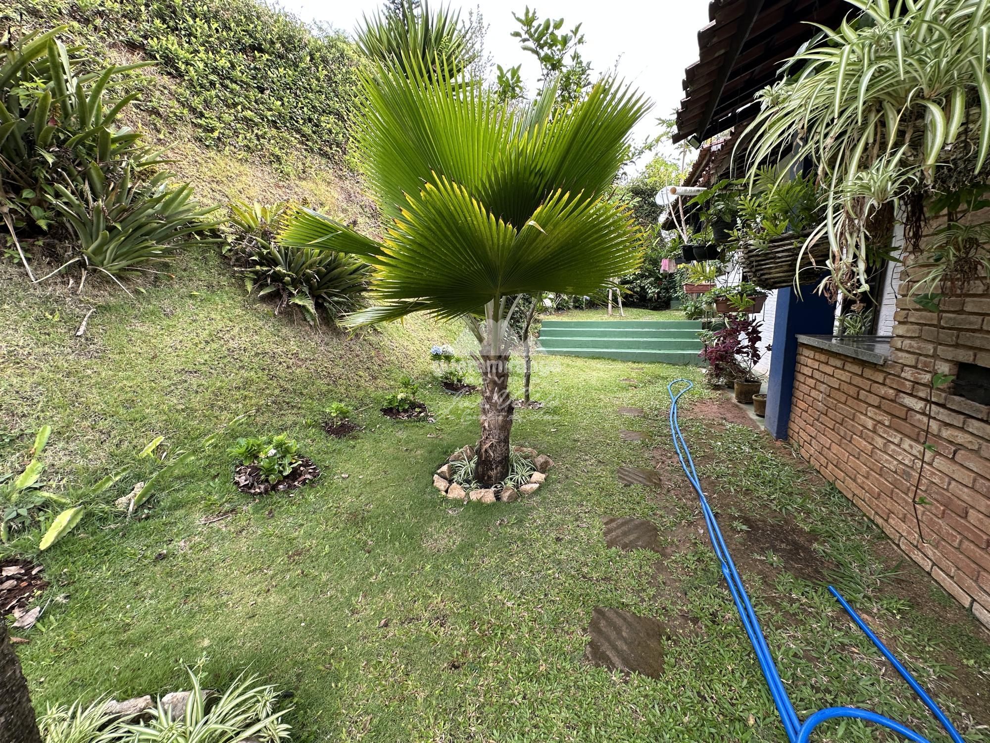 Chácara, 4 quartos, 10000 m² - Foto 16