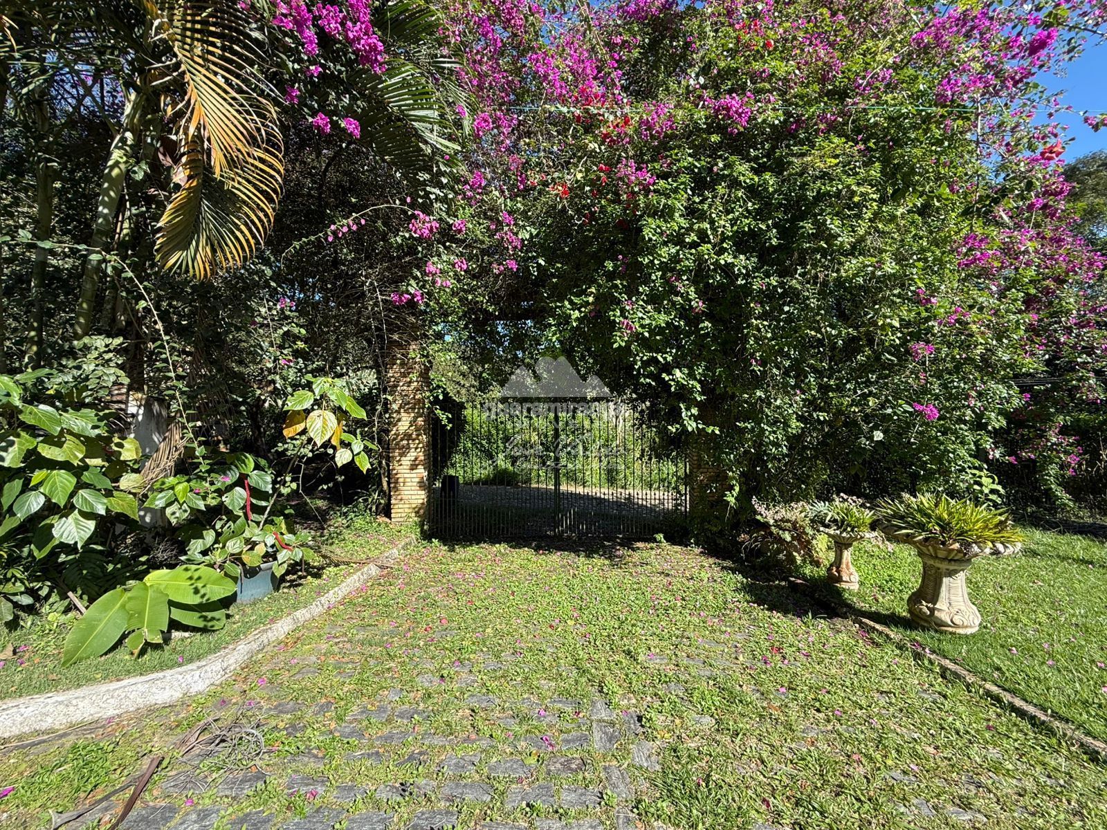 Chácara, 4 quartos, 6332 m² - Foto 39