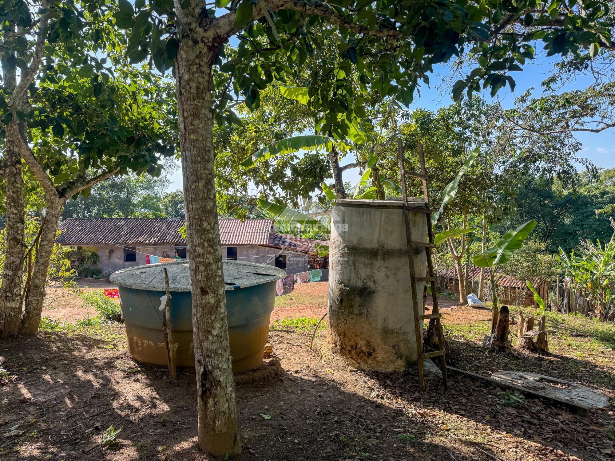 Chácara, 3 quartos, 5 hectares - Foto 17