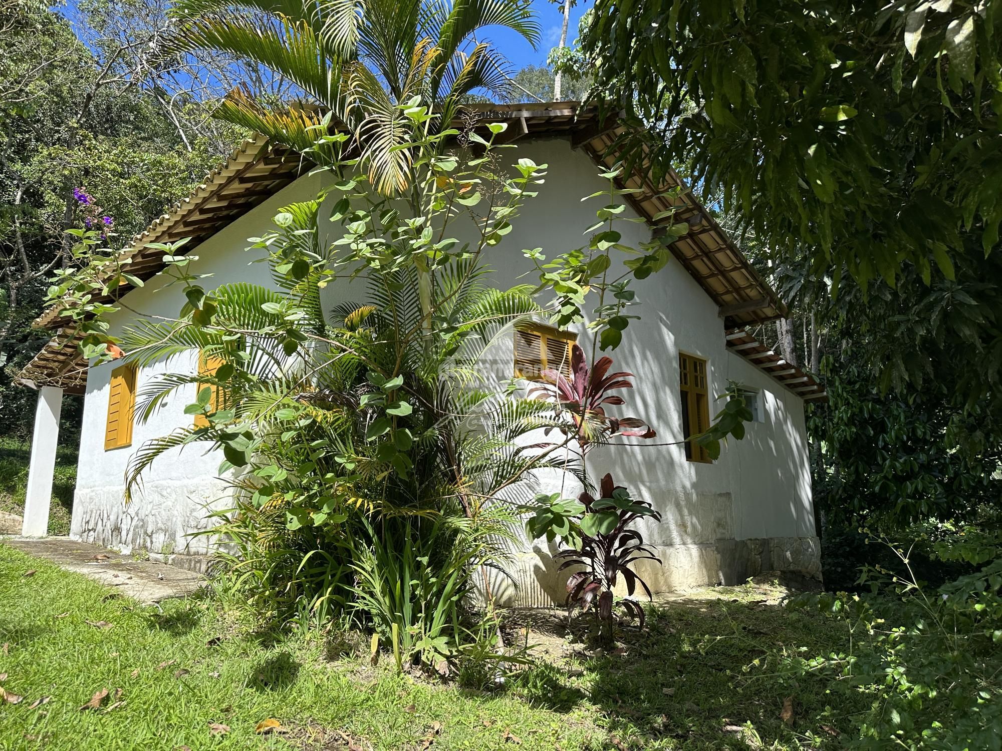 Sítio, 8 quartos, 7 hectares - Foto 42