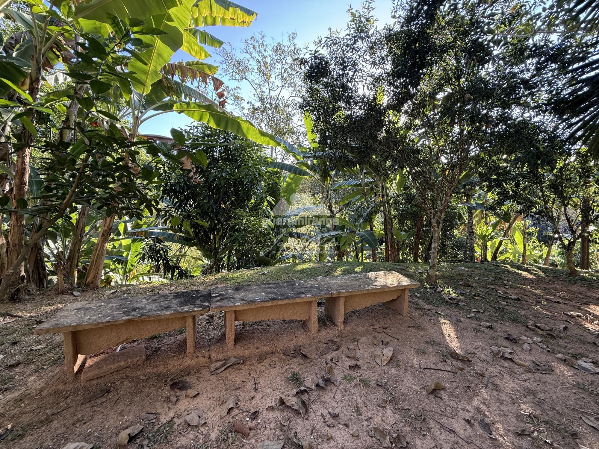 Chácara, 8 quartos, 2 hectares - Foto 32