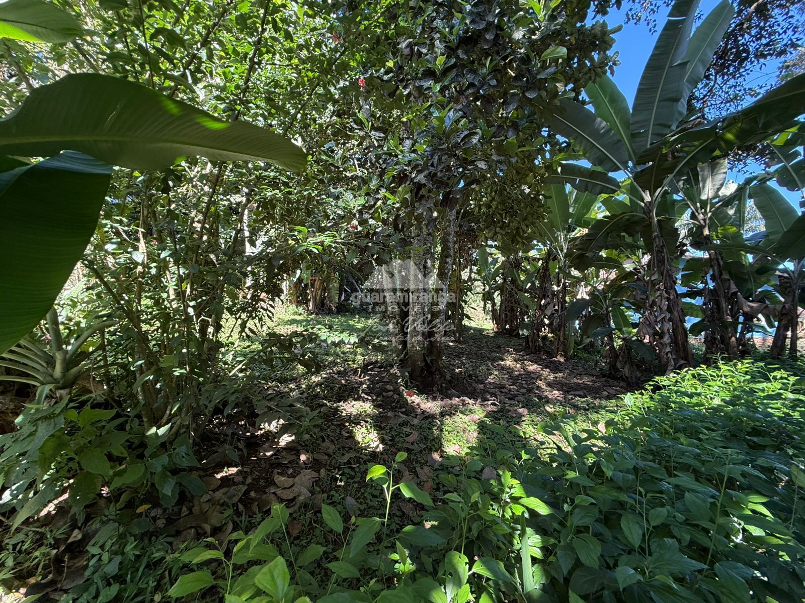 Chácara, 4 quartos, 6332 m² - Foto 58