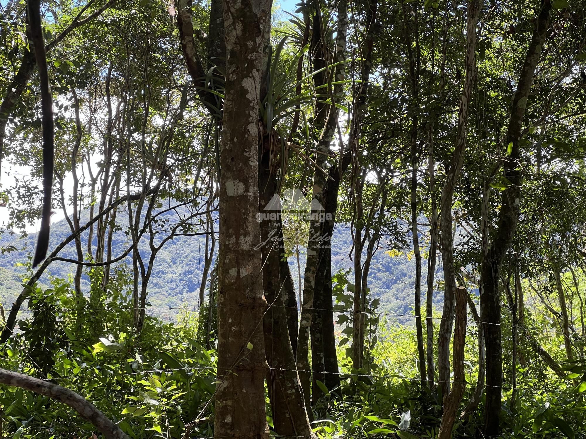Terreno à venda, 1200m² - Foto 3
