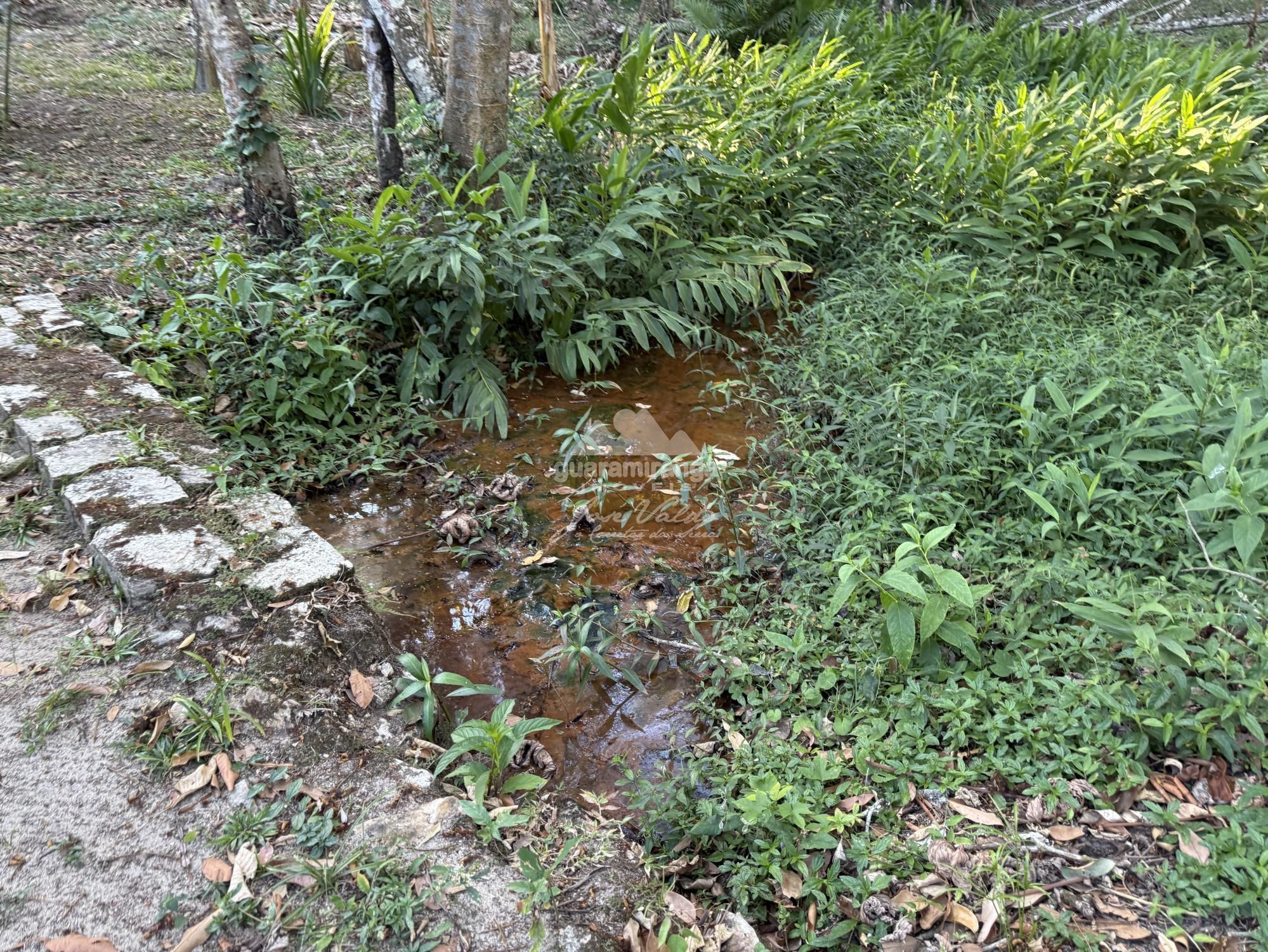 Chácara, 8 quartos, 2 hectares - Foto 36