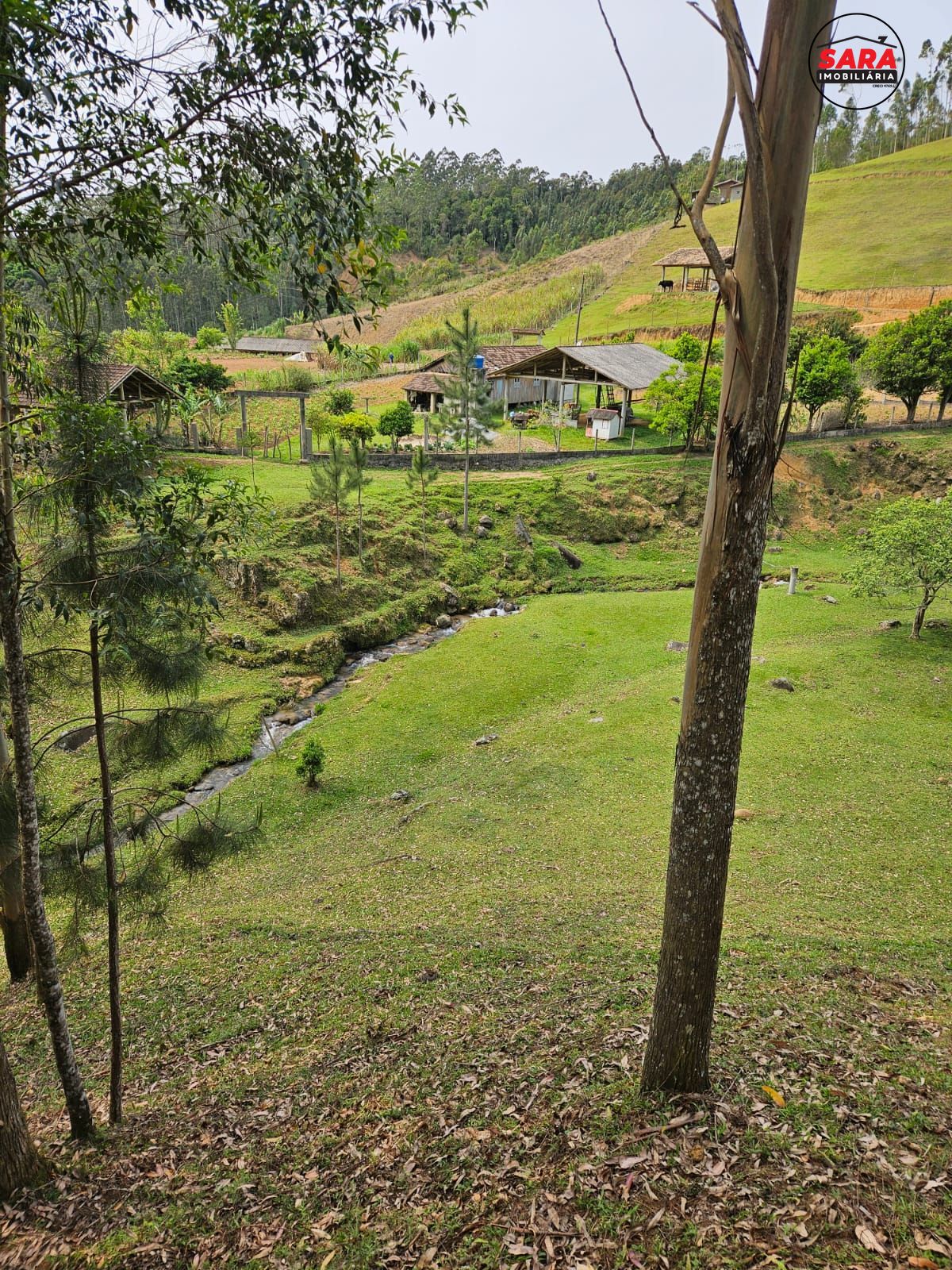 Fazenda/stio/chcara/haras  venda  no Fazenda Do Sacramento - guas Mornas, SC. Imveis