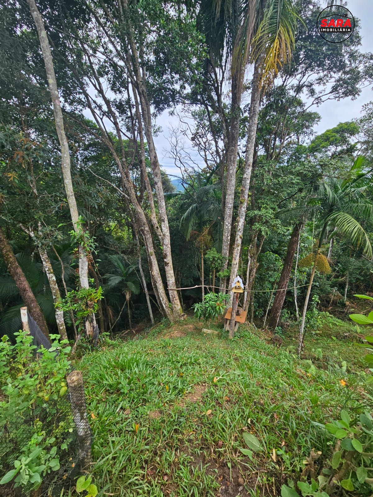 Fazenda à venda com 1 quarto, 20000000m² - Foto 14