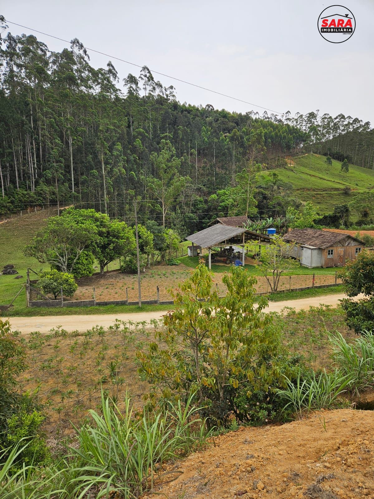 Fazenda à venda com 2 quartos, 150m² - Foto 11