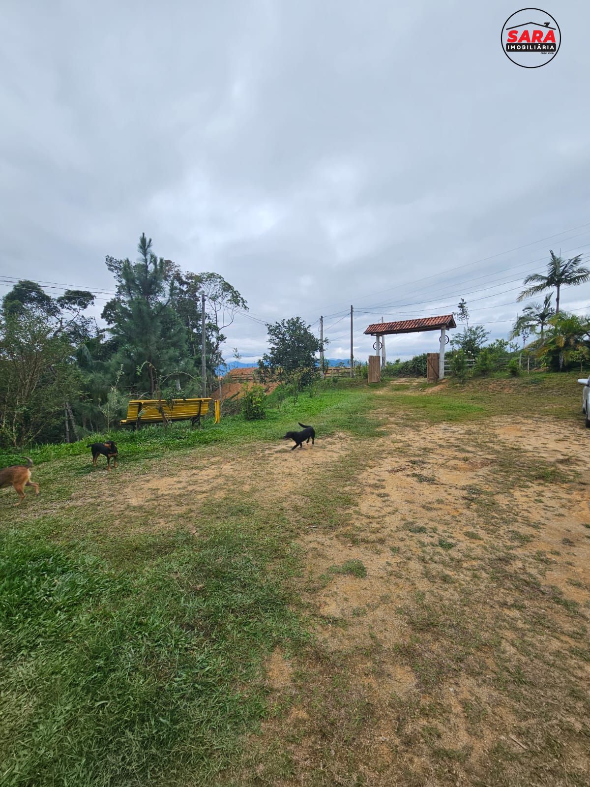 Fazenda à venda com 1 quarto, 20000000m² - Foto 13