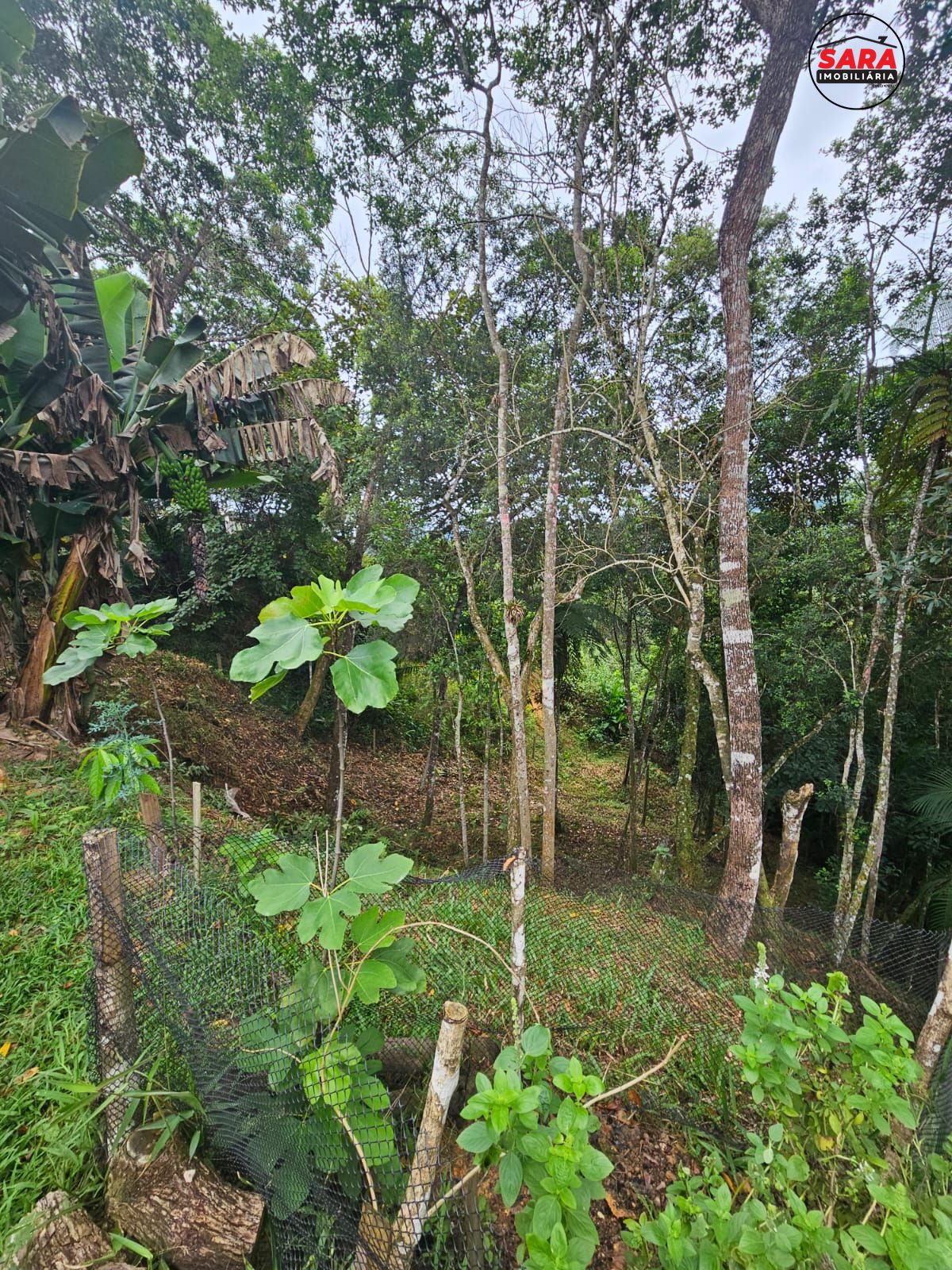 Fazenda à venda com 1 quarto, 20000000m² - Foto 15