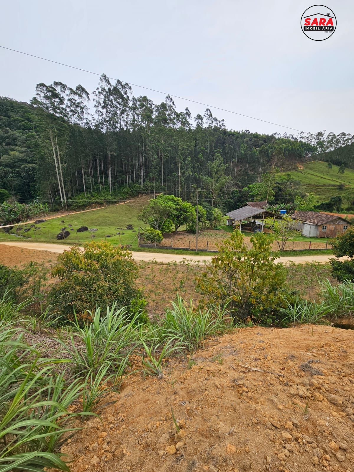 Fazenda à venda com 2 quartos, 150m² - Foto 12