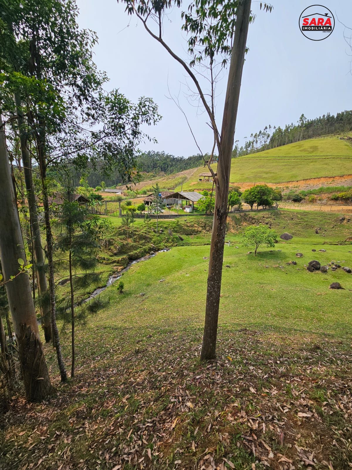 Fazenda à venda com 2 quartos, 150m² - Foto 15