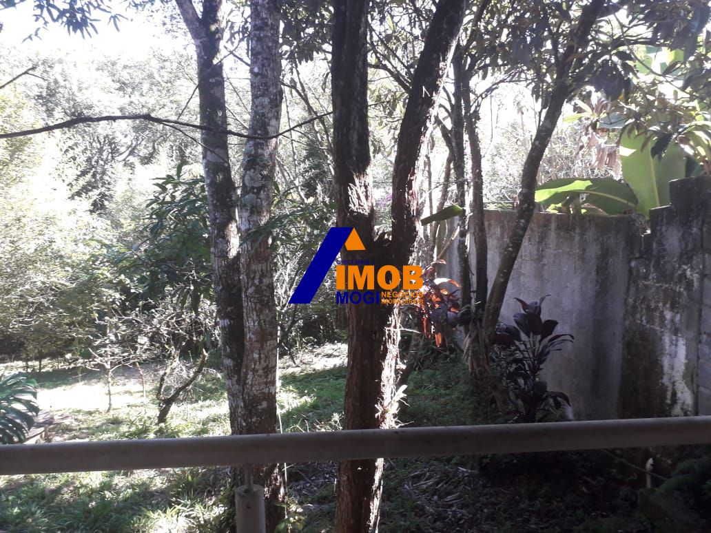 Chácara, 3 quartos, 2000 hectares - Foto 28