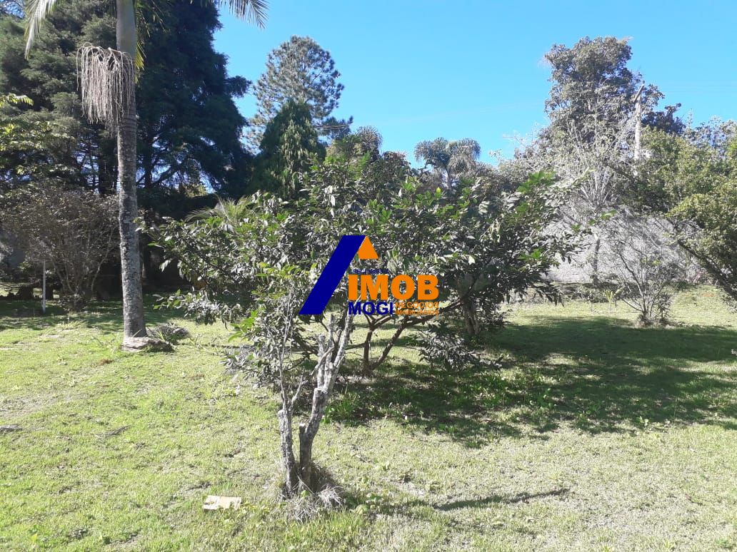 Chácara, 3 quartos, 2000 hectares - Foto 25