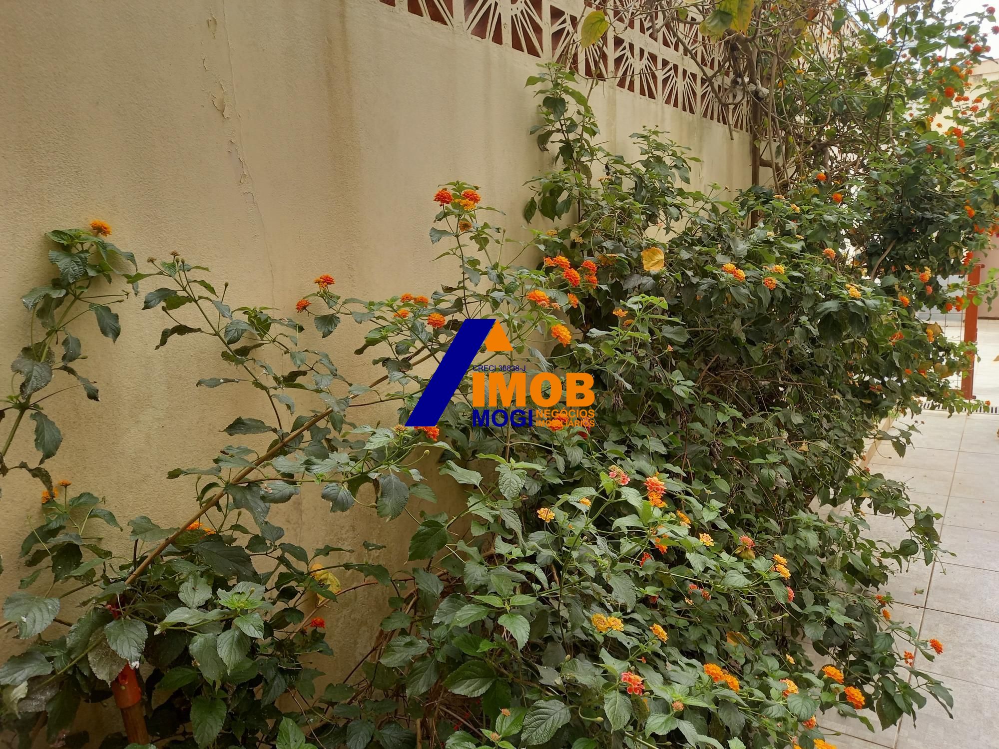 Casa, 3 quartos, 266 m² - Foto 5