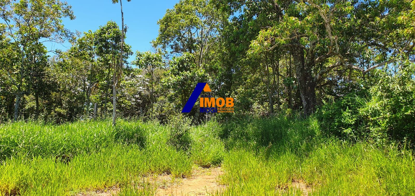 Terreno, 1522 m² - Foto 3