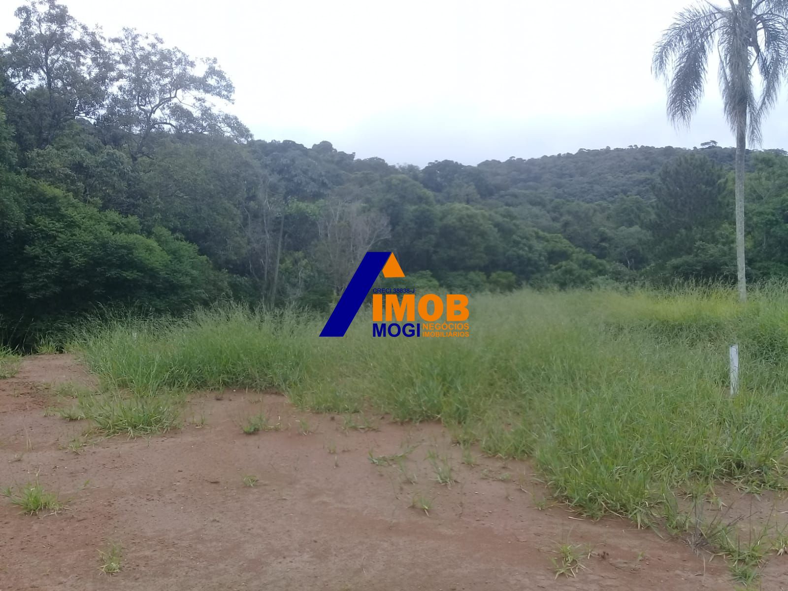 Terreno, 560 m² - Foto 8