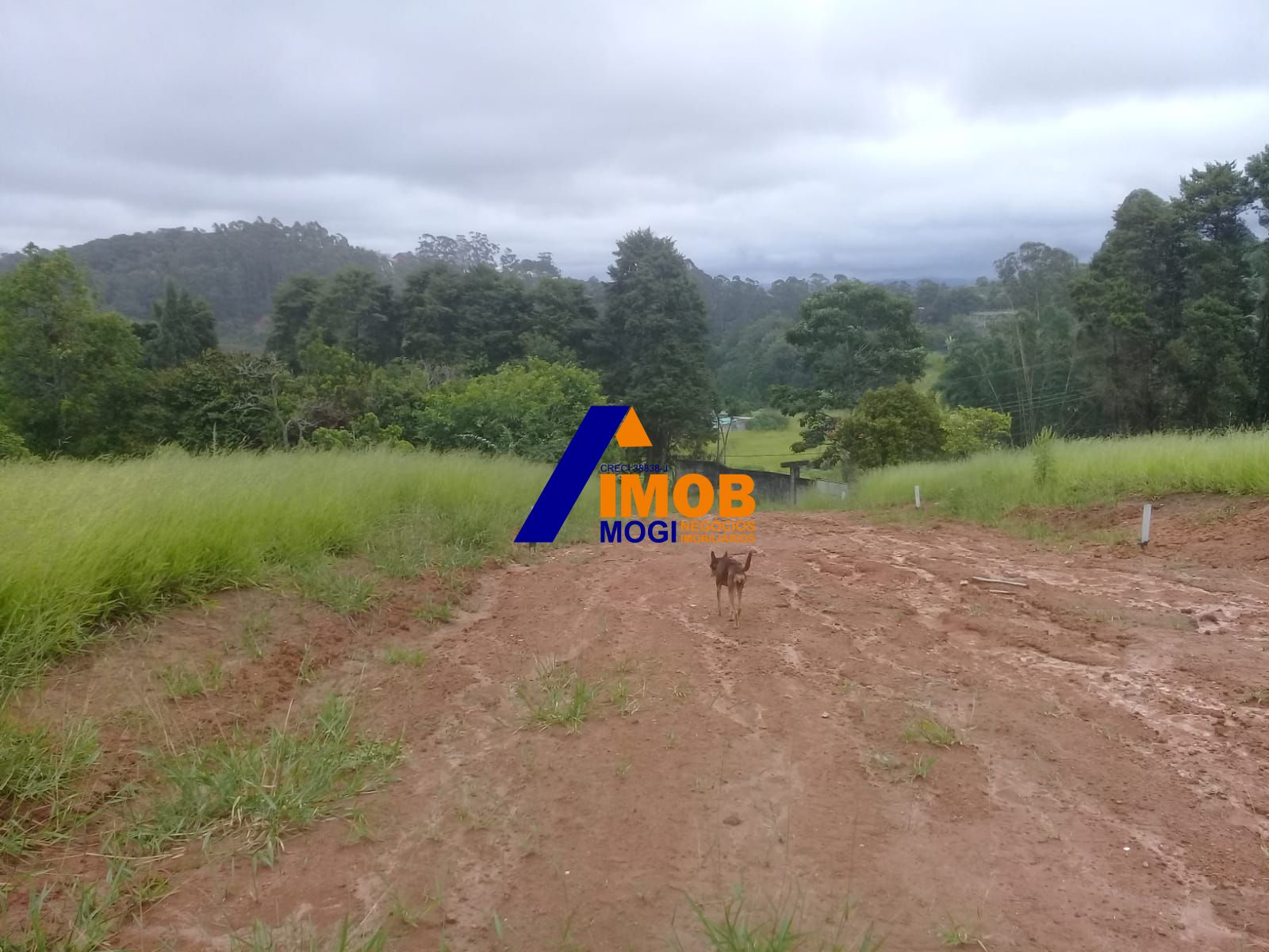 Terreno, 560 m² - Foto 5