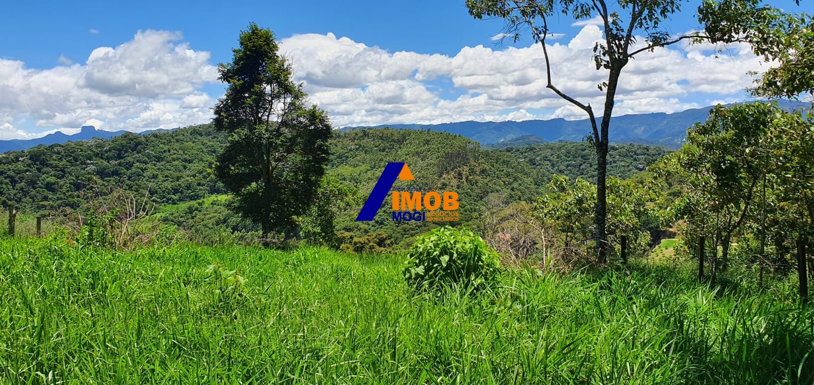 Terreno, 1522 m² - Foto 5