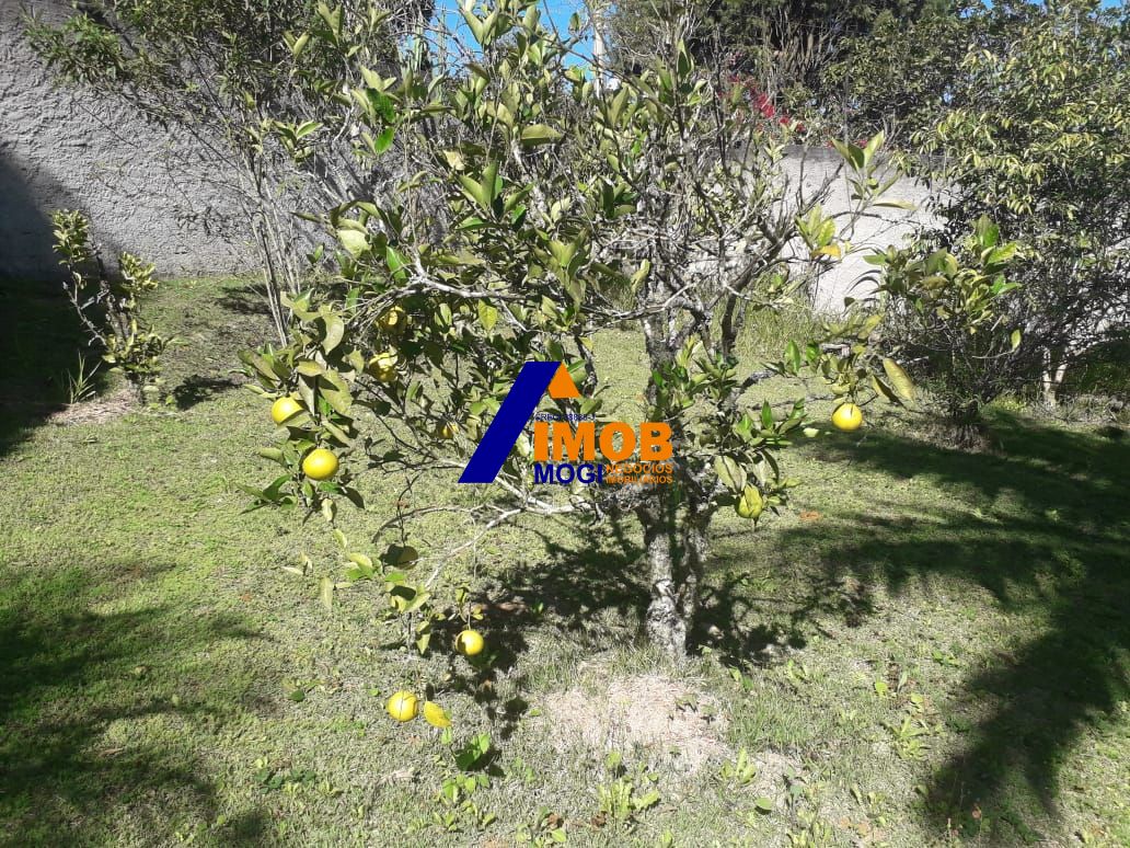 Chácara, 3 quartos, 2000 hectares - Foto 23